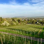 Am Weinberg *