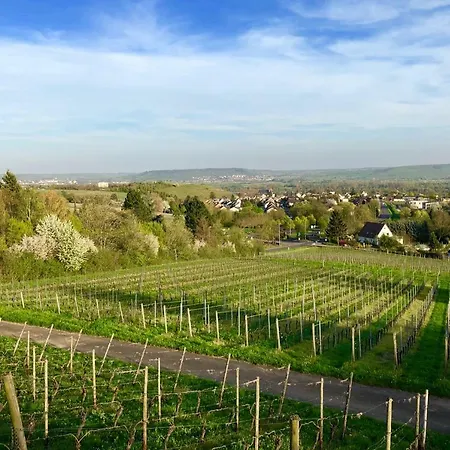 Am Weinberg *